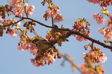 2008022406