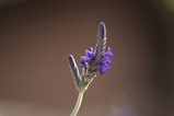 2008030206
