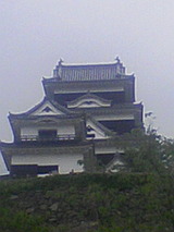 7d08a67c.jpg