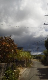 e959f9a5.jpg