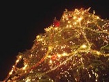 xmas
