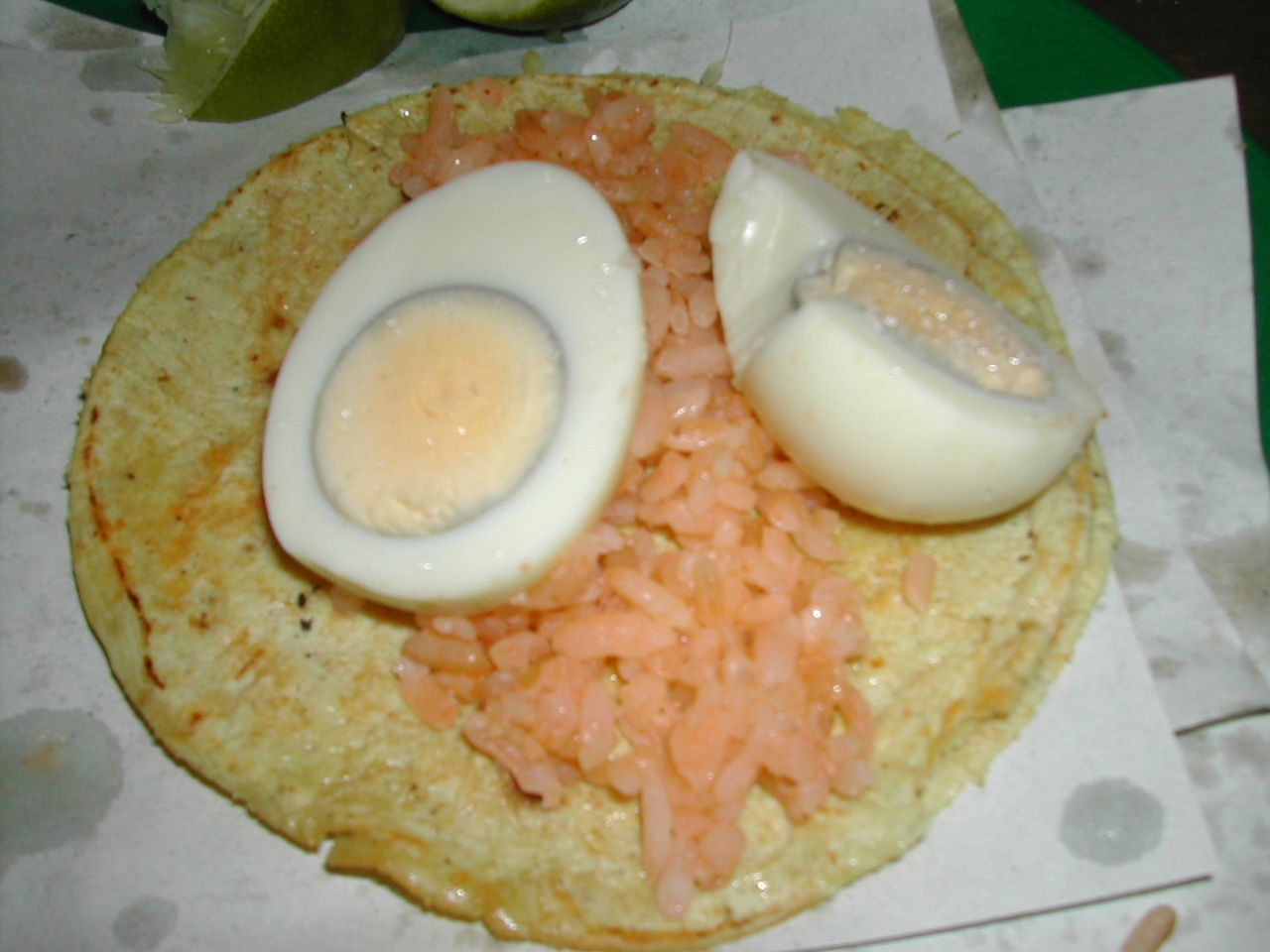 DSCN6569