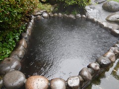 DSCN3029