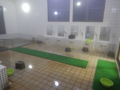 DSCN3004
