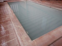 DSCN3101