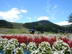 DSCN3088