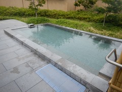 DSCN1010