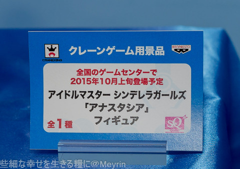 C3XHOBBY2015105