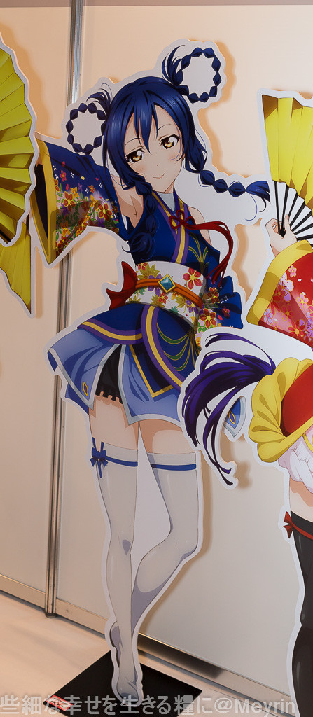 C3XHOBBY2015026