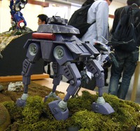 IMG_8535
