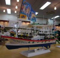 IMG_8559