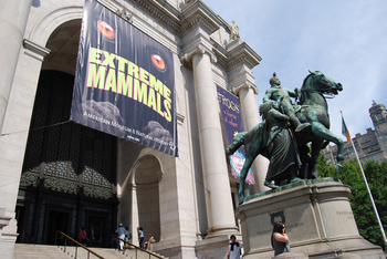 NY����4������