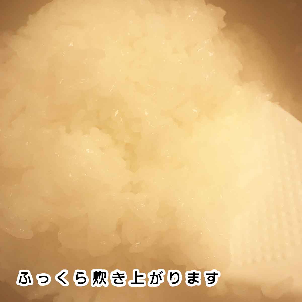 しらたきごはん