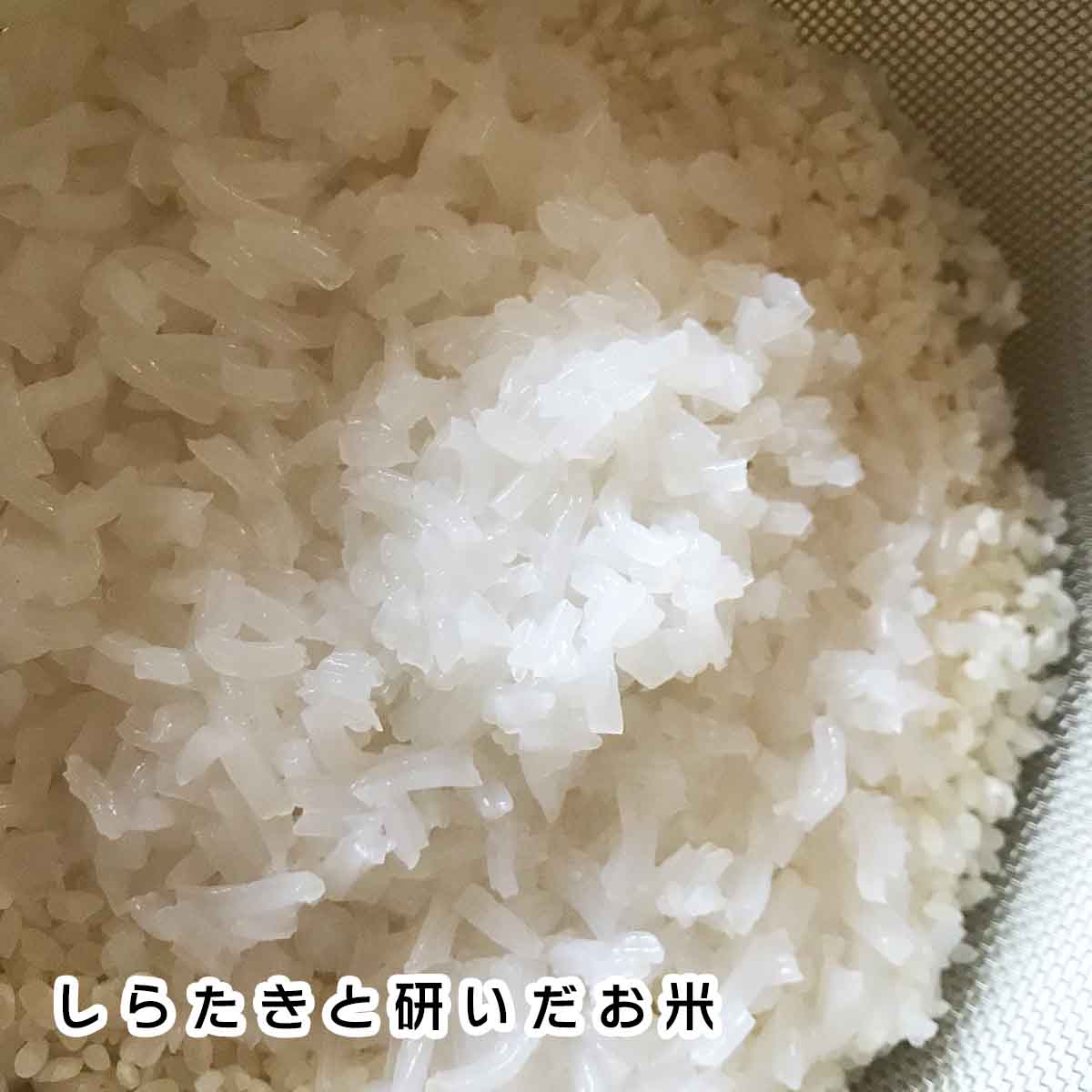 しらたきごはん