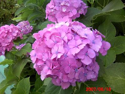 8d049281.jpg