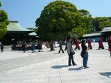 meizi