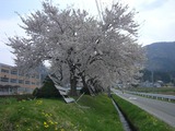 2011.5.8°ðÃæºù