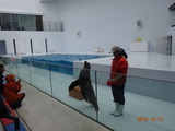 DSC01341