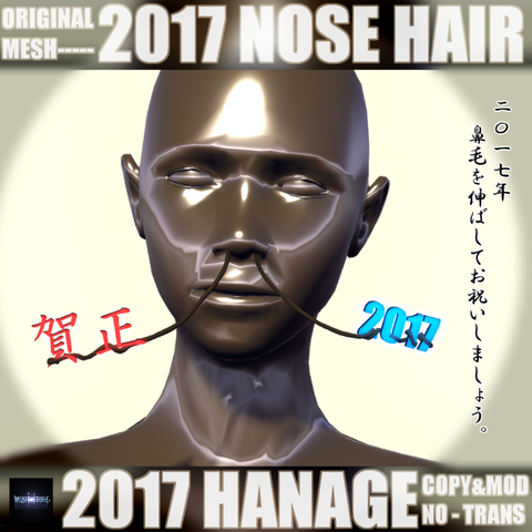 2017-hanagepop