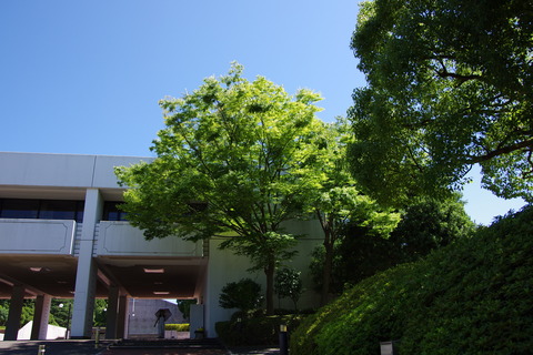 IMGP3124