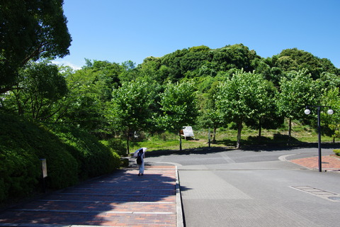 IMGP3125