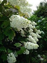 IMG_20180607_173230