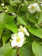 180530_172409