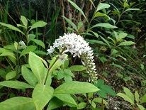 IMG_20180607_173040