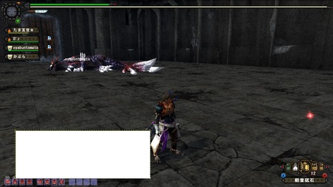 MHFZ 2区番人