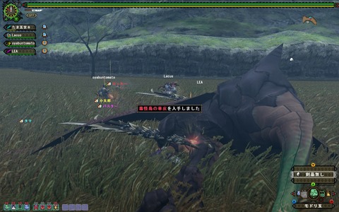 MHFZ 優先ゲリョ亜種 ボナかぶり