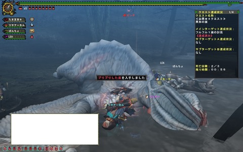 MHFZ 辿異フルフル800
