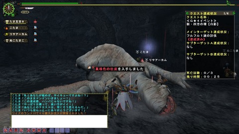 MHFZ 新・四方の理{白影}