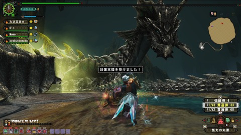MHFZ ラヴィ