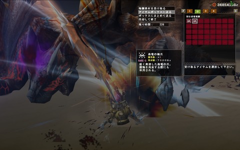 MHFZ 部位破壊+1