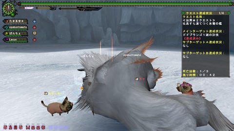 MHFZ 400辿異ドド