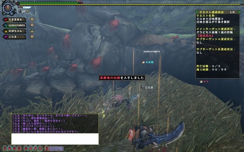 MHFZ 優先グラビ亜種