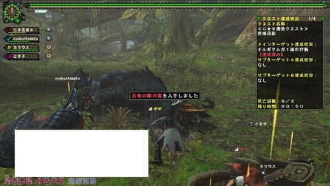 MHFZ シクレナルガ