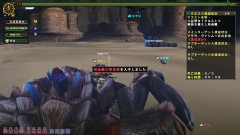 MHFZ 200ヴァシム