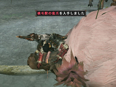 2013_mhf_spinel_05-03