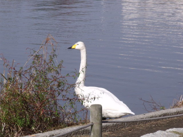 DSCF0069