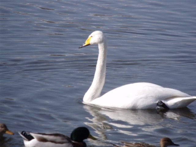 DSCF0072
