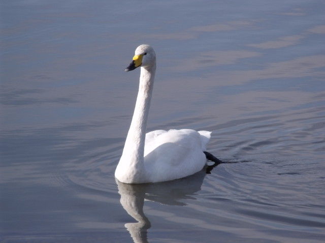 DSCF0070