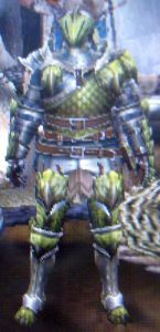 MHP3 レイアシリーズ（剣士・ガンナー） : へたれハンターの