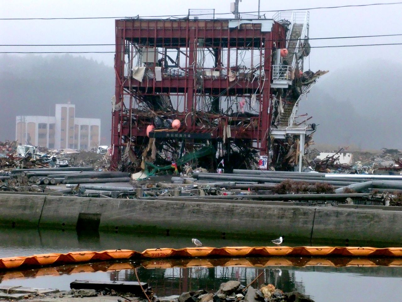 ぶっ生き返す!! の掲示板投稿写真＆画像