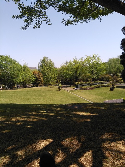 3061e182.jpg