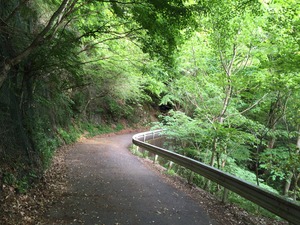 写真 2015-05-15 16 06 46