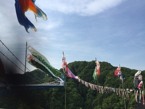 写真 2015-05-15 15 02 38