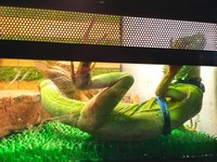 写真 2016-10-14 15 10 21