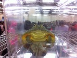 写真 12-05-20 12 53 08