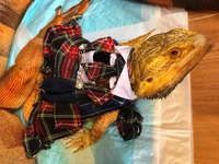写真 2016-10-14 14 03 06